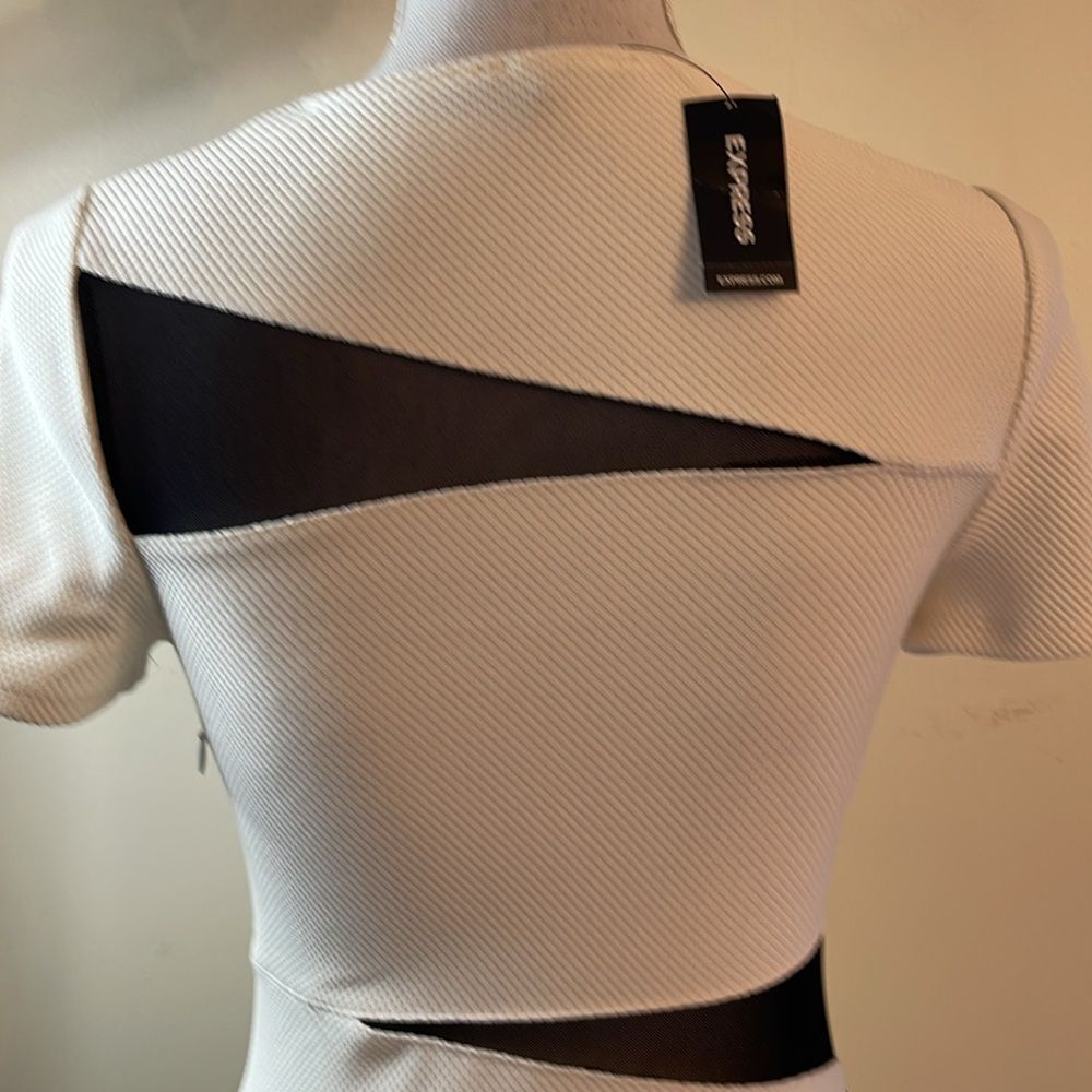 Express BodyCon Dress - Picture 5 of 11